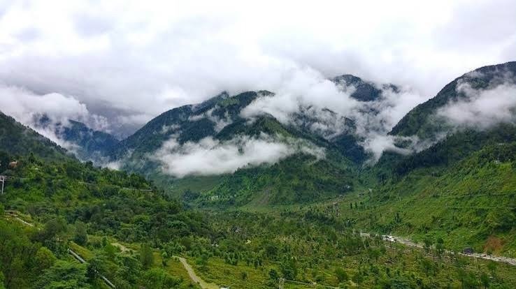 Best Resorts in Palampur for a Relaxing Mountain Getaway