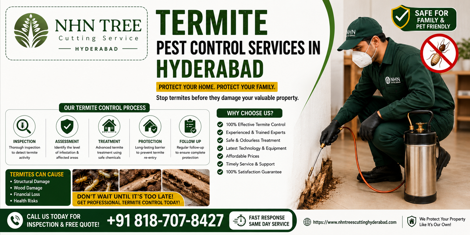 Termite Pest Control Services in Hyderabad