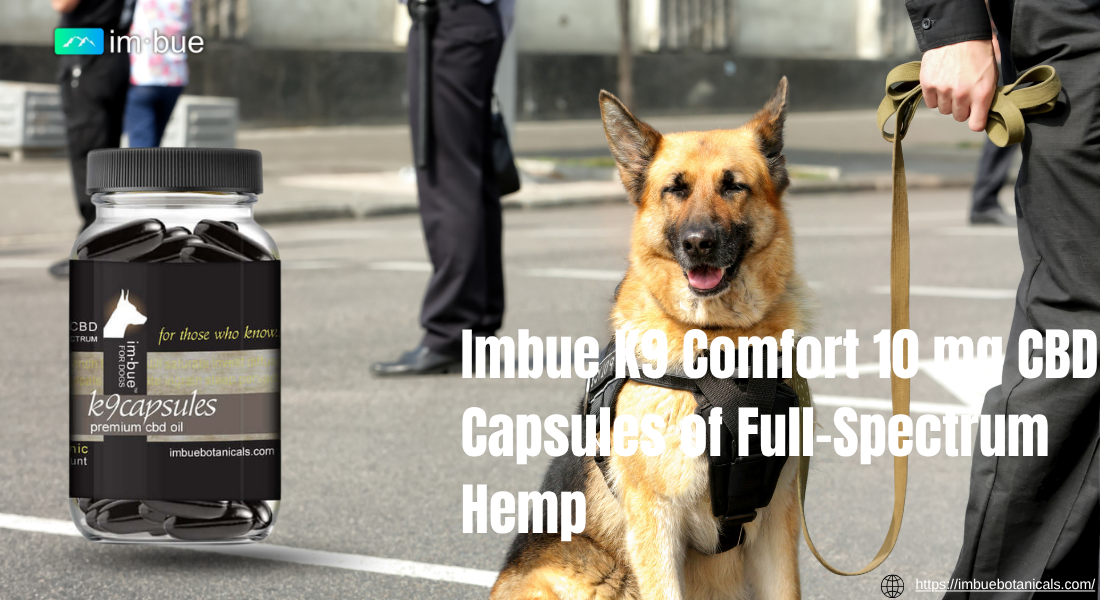 CBD Capsules for Dogs