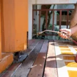 How Termite Proofing Helps Protect Your Home in Lahore