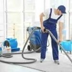 Where Can Pro Clean Carpet Cleaning Make the Biggest Difference in Your Home?