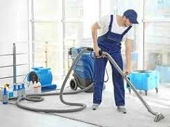 Pro clean carpet